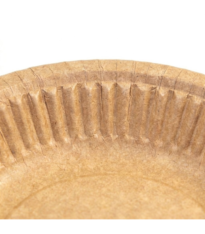 Piatto fondo biodegradabile