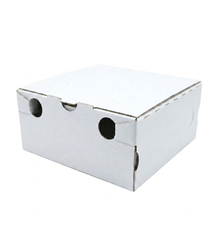 Box food delivery bianca
