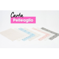 PELLEAGLIO paper